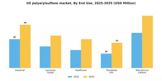 US Polyarylsulfone Market Segment Image 1