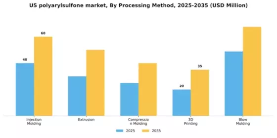 US Polyarylsulfone Market Segment Image 3