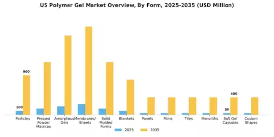 US Polymer Gel Market Segment Image 1