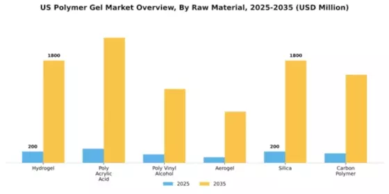 US Polymer Gel Market Segment Image 3