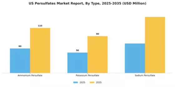 US Persulfates Market Segment Image 3