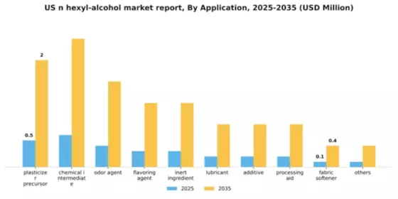 US N-Hexyl Alcohol Market Segment Image 0
