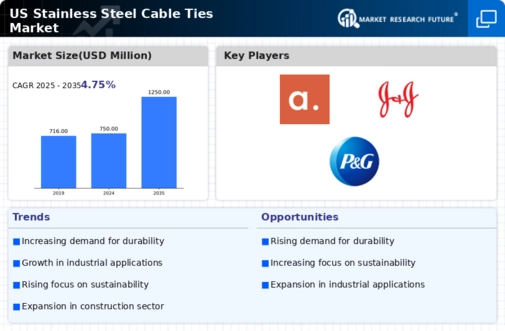 US Stainless Steel Cable Ties Market Infographic