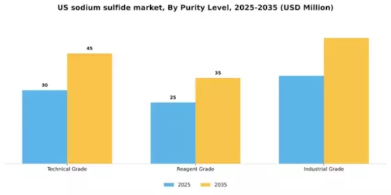 US Sodium Sulfide Market Segment Image 4