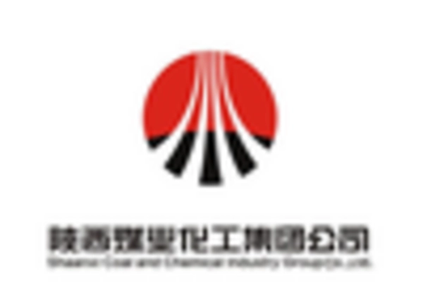 US Sodium Sulfide Market key player