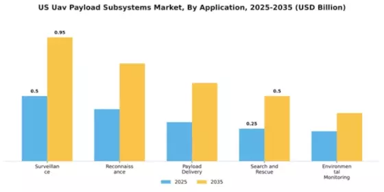 US UAV Payload Subsystems Market Segment Image 0