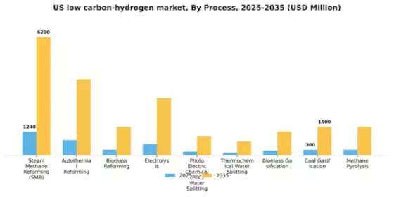 US low carbon hydrogen market Segment Image 2