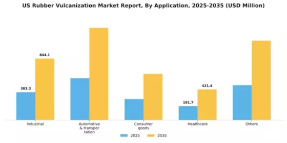 US Rubber Vulcanization Market Segment Image 0