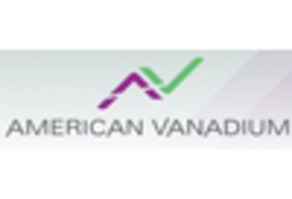 US Vanadium Market key player