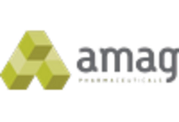 US Magnetite Nanoparticles Market key player