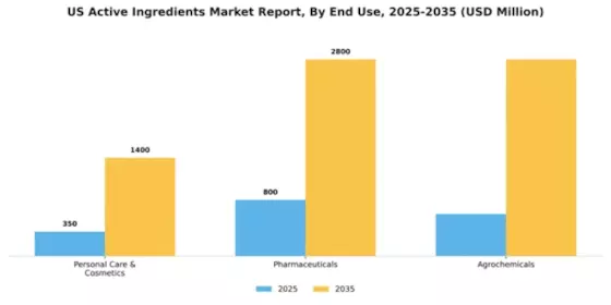 US Active Ingredients Market Segment Image 0