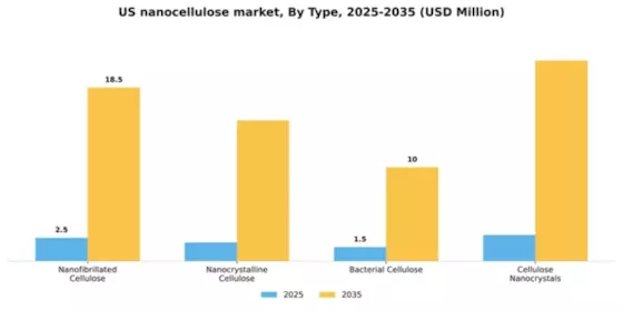 US Nanocellulose Market Segment Image 2
