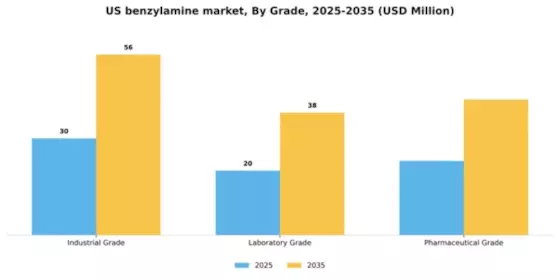 US Benzylamine Market Segment Image 4