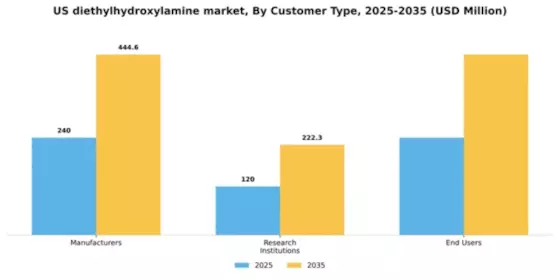US Diethylhydroxylamine Market Segment Image 1