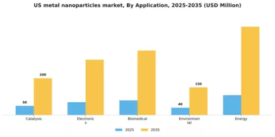 US Metal Nanoparticles Market Segment Image 0