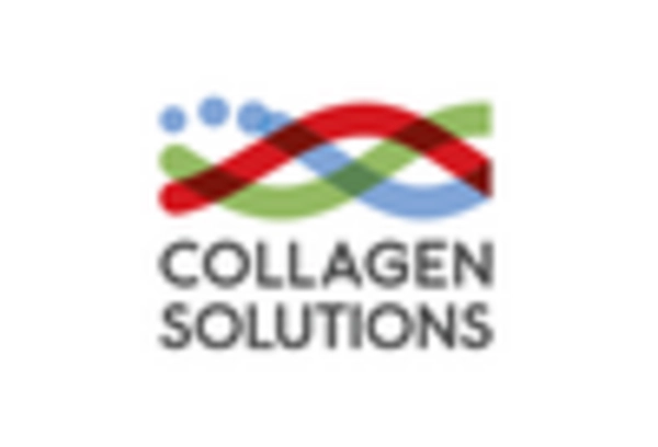 US Bioceramics Market key player