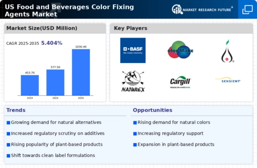 US Food and Beverages Color Fixing Agents Market Research Report — Forecast till 2035 Infographic