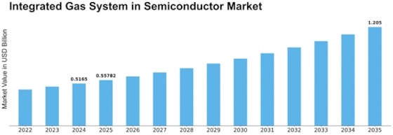 Integrated Gas System in the Semiconductor Market Size