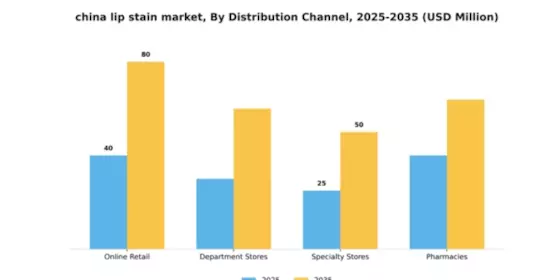 China Lip Stain Market Segment Image 2