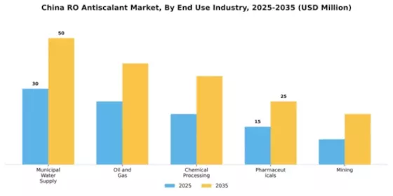 China RO Antiscalant Market Segment Image 3