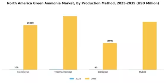 North America Green Ammonia Market Segment Image 3
