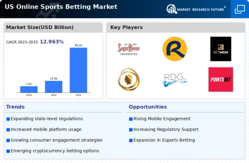 US Online Sports Betting Market Infographic