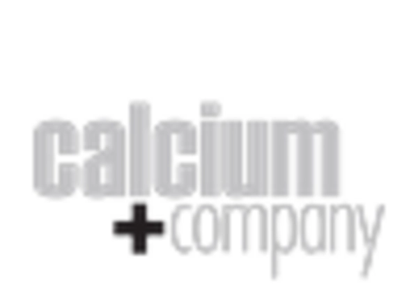 US Calcium Chloride Market key player