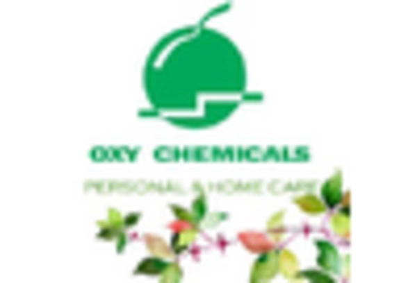 US Calcium Chloride Market key player