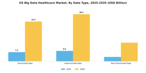 US Big Data Healthcare Market Segment Image 1