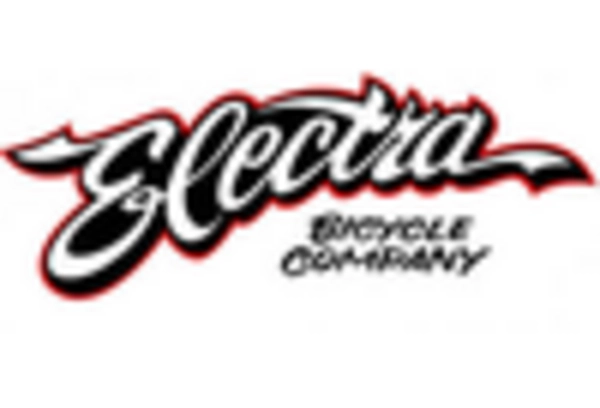 US Electric Bike Market key player