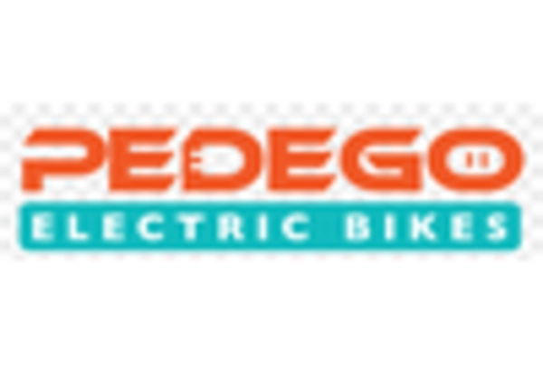 US Electric Bike Market key player