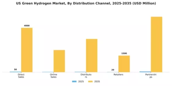 US UAE Green Hydrogen Market Segment Image 1