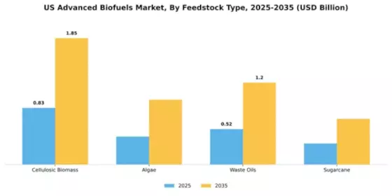 US Advanced Biofuel market Segment Image 2