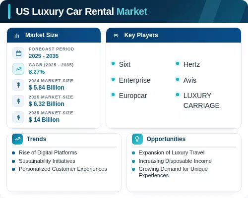 Car Rental Analysis US Luxury Car Rental Market Trends Demand Analysis 2035