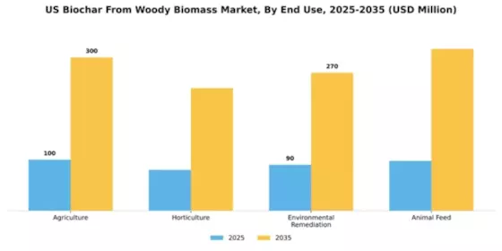 US Biochar from Woody Biomass Market Segment Image 1