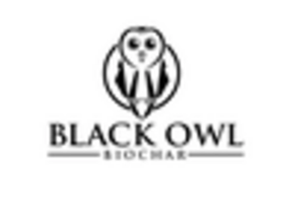 US Biochar from Woody Biomass Market key player