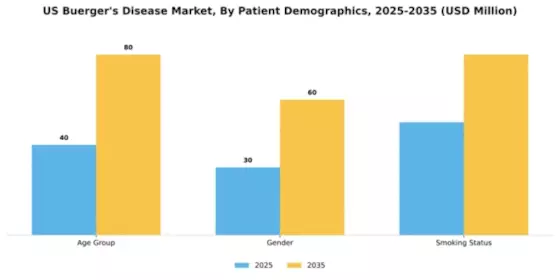 US Buergers Disease Market Segment Image 1