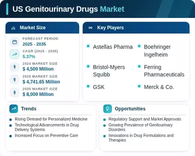 US Genitourinary Drugs Market Infographic