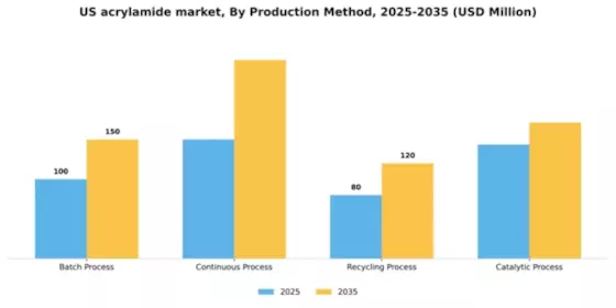 US Acrylamide Market Segment Image 3