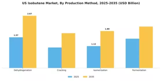 US Isobutene Market Segment Image 2