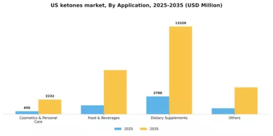 US Ketones Market Segment Image 0