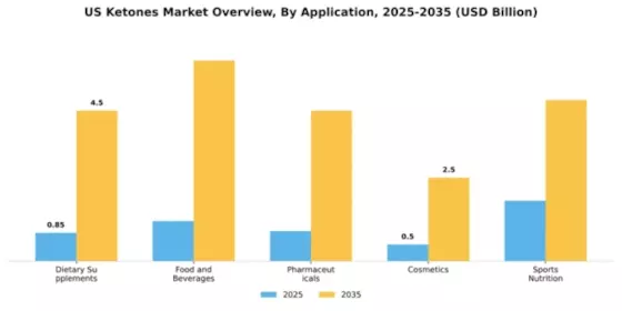 US Ketones Market Segment Image 0