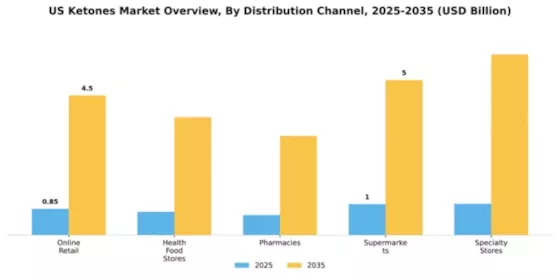 US Ketones Market Segment Image 1