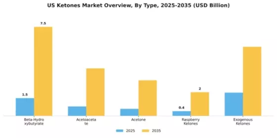 US Ketones Market Segment Image 4