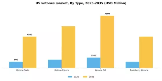 US Ketones Market Segment Image 1