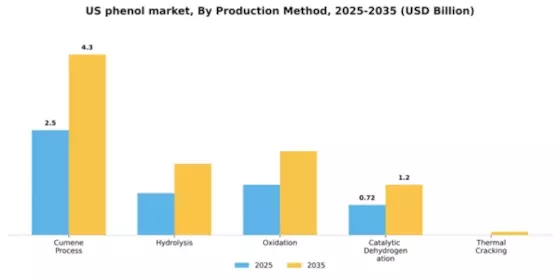 US Phenol Market Segment Image 3