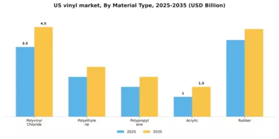 US Vinyl Market Segment Image 4