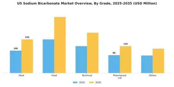 US Sodium Bicarbonate Market Segment Image 1
