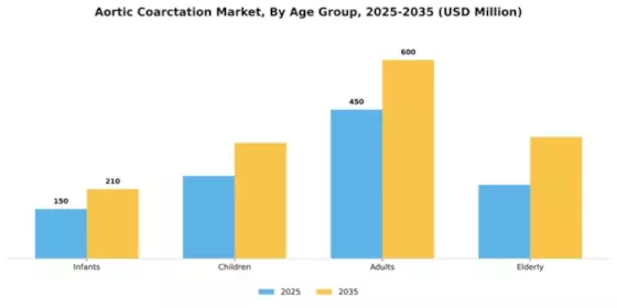 Aortic Coarctation Market Segment Image 0