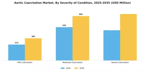 Aortic Coarctation Market Segment Image 2